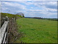 Countryside near Thornton