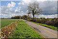 Road near Yewtree Plantation