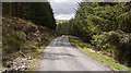 Forestry road descending