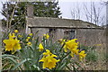 Derelict Cottage