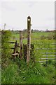 Footpath with an unusual offset Stile