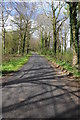 Road through Yewtree Plantation