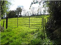 H2714 : Gate, Aghaweenagh by Kenneth  Allen