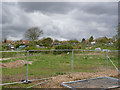 Cator Lane allotments