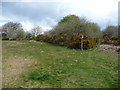 Footpath off Racecourse Common