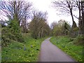 Spring on the Trans Pennine Trail