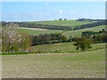 Farmland, Manningford