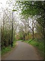 ST6274 : Bristol & Bath Railway Path near Rose Green by Derek Harper