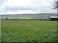 Field west of Black House Farm