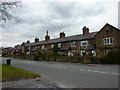 Coppice Road, a row of terraced cottages