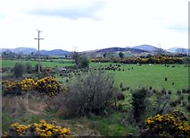 J2933 : Pasture land east of the Dublin Road by Eric Jones