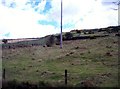 Rough grazing on valley slope overlooking Lough Island Reavy Reservoir