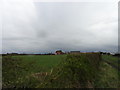 Looking to West Rainton Stables Farm