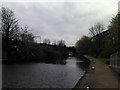 Railway bridge over the Regent