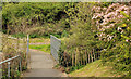 Footbridge, Crawfordsburn (2)