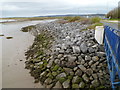 Boulders near a footbridge across the Afon Dafen, Llanelli