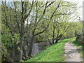 Footpath beside the river Elwy, approaching St Asaph