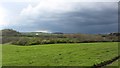 Pasture, North Netherburn