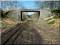 A bridge over the former Waverley Railway Line