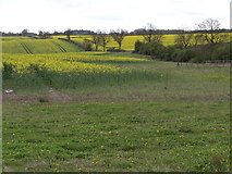 SP6741 : Fields near Silverstone by Ian Paterson
