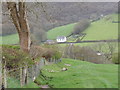 Llwybr Ceffyl Cwrt y Cadno bridleway