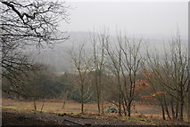 TQ8512 : View to Mallydams Wood by N Chadwick