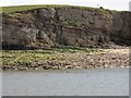 SD2179 : Cliffs at Dunnerholme by Perry Dark