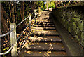 J4079 : Steps, Holywood by Albert Bridge