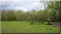 A horse exercise area at Rawsons i