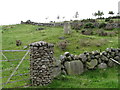 A Standing Stone above the Drumena Road