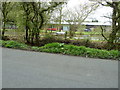 Pond by industrial units on Deanland Road