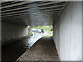 On the Llangollen Canal near the Narrow Boat