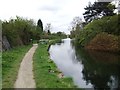 Wyrley & Essington Canal at Little Bloxwich