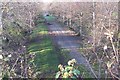 Llanberis Branch Line Trackbed