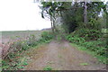 Track to Foxearth Wood, off Rocks Hill