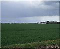 TF2513 : Farmland towards Crowland Airfield by JThomas