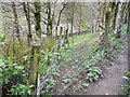 SE0022 : Obstructed footpath at Littlewood, Mytholmroyd by Humphrey Bolton