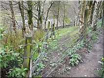 SE0022 : Obstructed footpath at Littlewood, Mytholmroyd by Humphrey Bolton