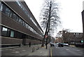 City University London