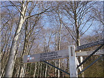 SU7118 : Sign posts for Butser Hill near the A3 by Peter S