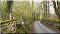 Minor road north of Dolgellau