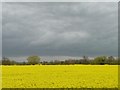 SK1515 : Yellow field, grey sky, Orgreave in April by Christine Johnstone