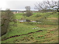 View towards Bailey Head