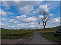 Minor Road at Oldwalls Farm