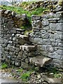 Steps at Spittal-on-Rule Farm