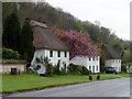 Thatched Houses, Milton Abbas, Dorset