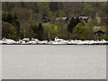 NS3882 : Loch Lomond Marina by David Dixon
