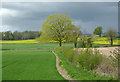 Herefordshire farmland north-west of Sarnesfield