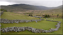 SH6513 : Walled enclosure near Hafod Taliadau by Trevor Littlewood