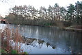 Basingstoke Canal